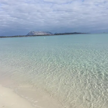 Al Faro La Cinta Santeodoro