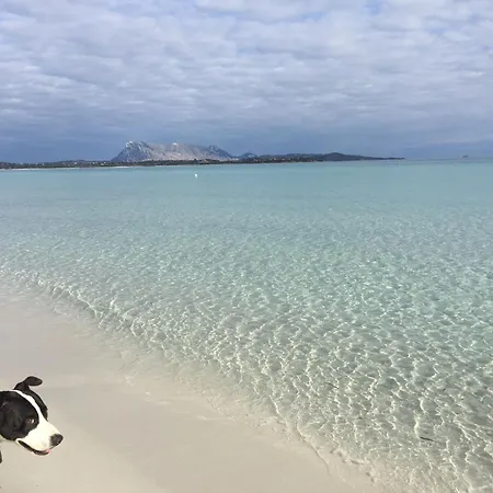 Ξενοδοχείο Al Faro , La Cinta ,san Teodoro