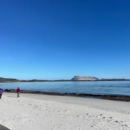 Al Faro , La Cinta ,san Teodoro Ξενοδοχείο *
